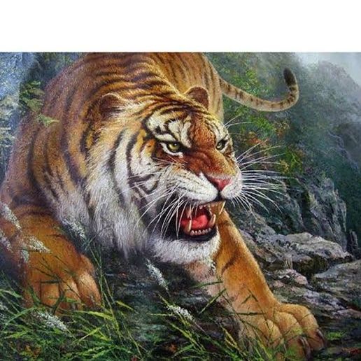 Tiger Model 3D 2022 3D model