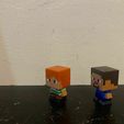 WhatsApp-Image-2024-01-28-at-10.36.43-PM.jpeg Minecraft Steve and Alex Minifigure