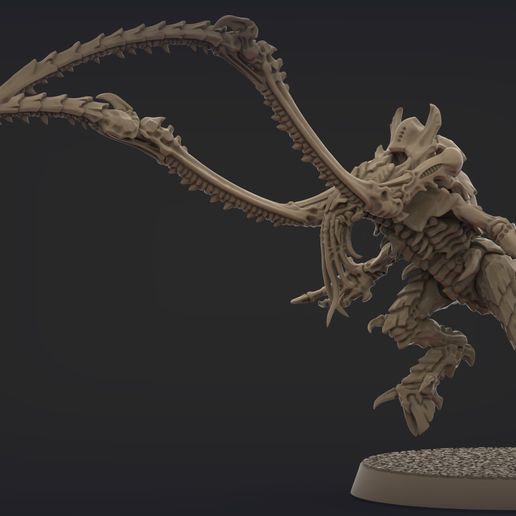 nids.1143.jpg ORIGINAL PLASTIC FREE LICTOR (2-4 poses)