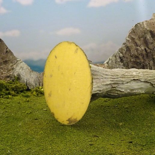 4b5afd31edcd5ced4923fc3fd50a02ff_display_large.JPG Vegetation B - Giant tree trunks