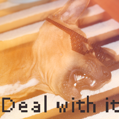 IMG_4047.png STL file DEAL WITH IT - Shades・3D printing template to download