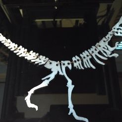 82a90f43ece16533c69f647400940f34_display_large.jpg Free STL file Dinosaur bones necklace・3D printing design to download