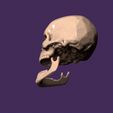 07.jpg human skull