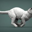running-cat6.jpg running cat 3D print model