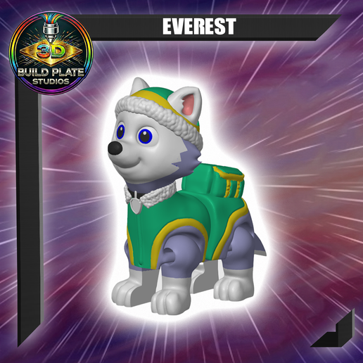 Paw Everest Multicolor Flexi Print-In-Place