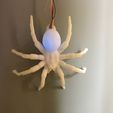 f572d48d479b70759528e7cdfe4efa8d_display_large.JPG Aranha suspensa