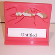 IMG_20210418_013544.png Ant Species Label Display Holders