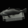 Peacock-Bass-statue-4-3-25.png FISH in motion Peacock bass (Cichla ocellaris) stone base for 3d printing