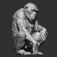 Chimpanzee-monkey-stl-3d-printable-model-7.jpg Singe chimpanzé stl modèle imprimable en 3d