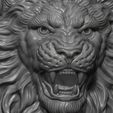 7.jpg Lion Head