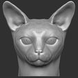 2.jpg Abyssinian cat head for 3D printing