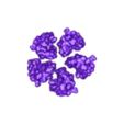 6n2y_c_odd.stl Structure of a bacterial ATP synthetase. PDB:ID 6N2Y