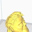 Captura-de-Pantalla-2024-02-10-a-las-10.58.16.jpg HEAD AYUWOKI 3D PRINT STL FILE MICHAEL JACKSON MEME HEAD 100 MM EASY PRINT GRINDERKING