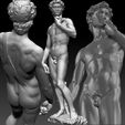 David1.jpg David statue by Michelangelo Classic