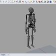 Screenshot_8.jpg Low poly skeleton
