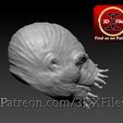Condluran-EE4.jpg Star Wars - Condluran Head sculpt - Hottoys