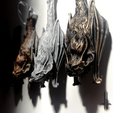 csapat2_L.png Chauve-souris gargouille suspendue