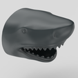 Startup.bip.30.4.png Shark Head wall hanger