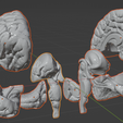 34.PNG.d94828897a64e968e7c3e84cbd1bc7e4.png 3D Model of Human Brain