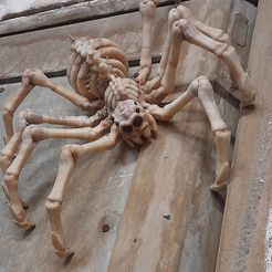 Skeleton_Spider_1.jpg STL-Datei FLEXI-SKELETT-SPINNE ZUM AUSDRUCKEN _HELLOWEEN・3D-druckbare Vorlage zum herunterladen