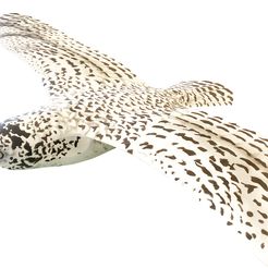 324623025_1154007108585217_8981930485789689045_n.jpg 3D file Snowy Owl Stencils and Patterns・3D printer model to download