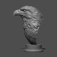 25.jpg Eagle