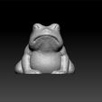 a2.jpg Frog
