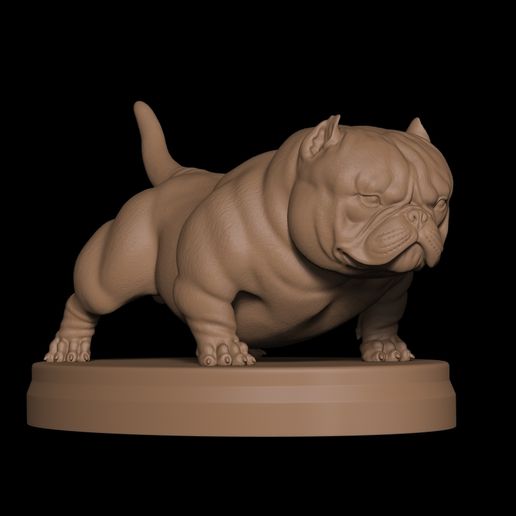 Exotic Bully Championship 3D model
