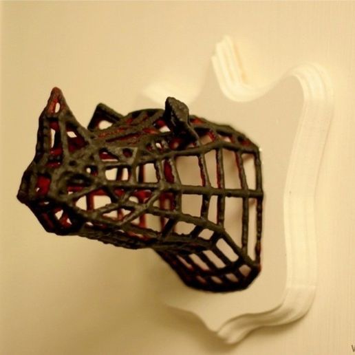 Endangered Species: Rhino
