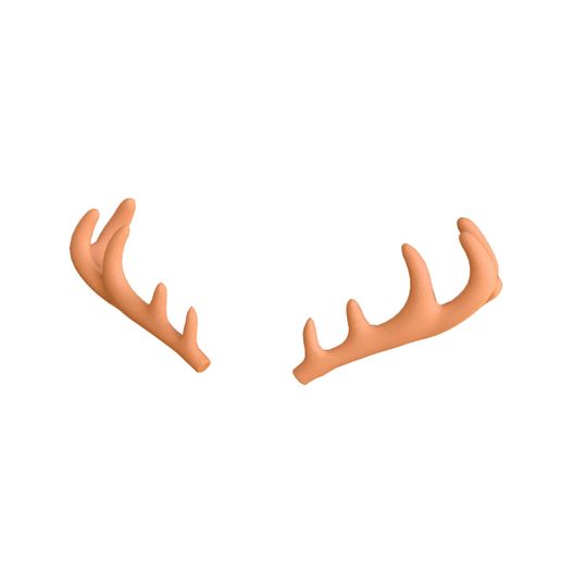 Deer_2.jpg Deer Antler