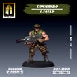 C2.jpg Commando: Command Squad