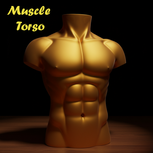 Muscle Torso 3D Model – Male Anatomy Bust for Art, Design & Printing