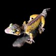 LeopardGecko_BySophie_Szene0000.jpg Archivo 3D Gecko leopardo (forma de color)-archivo de impresión STL-3D - con Full-5・Modelo imprimible en 3D para descargar