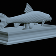Gudgeon-statue-25.png fish gudgeon / gobio gobio statue detailed texture for 3d printing