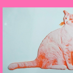 Diseño_sin_título_9.png Free STL file Drawing 3d CAT・3D print object to download