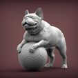 French_Bulldog3.jpg French Bulldog 3D print model