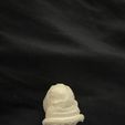 IMG_0367.jpg SHF modulo yuji hood piece