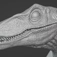 Captura-de-pantalla-2023-06-18-203911.jpg Bust Velociraptor JP1 : Jurassic Park : Dinosaur