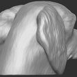 6.jpg Spaniel Cavalier dog head for 3D printing