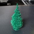 Christmas Tree/ Pine Tree