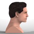 untitled.300.jpg Handsome man bust ready for full color 3D printing TYPE 1