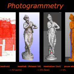 PhotoGrammetryExplanations.png Free STL file Statue Photogrammetry・3D printer design to download, medmakes