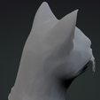 Screenshot-2025-09-03-124332.png Cat Bust with texture