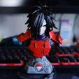 naruto (madara bust)