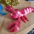Mignon homard Flexi Print-in-Place