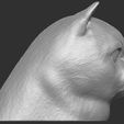 6.jpg British Shorthair cat head for 3D printing