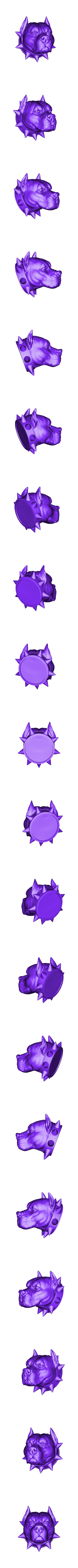 Pitbull.obj Animal Head