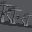 Mushroom_Patch4.jpg Mushroom Patch