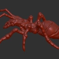 antPreview1.jpg STL-Datei Ameisen・3D-druckbare Vorlage zum herunterladen