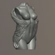 Wing_fem_torso_1.jpg Torso feminino com asas